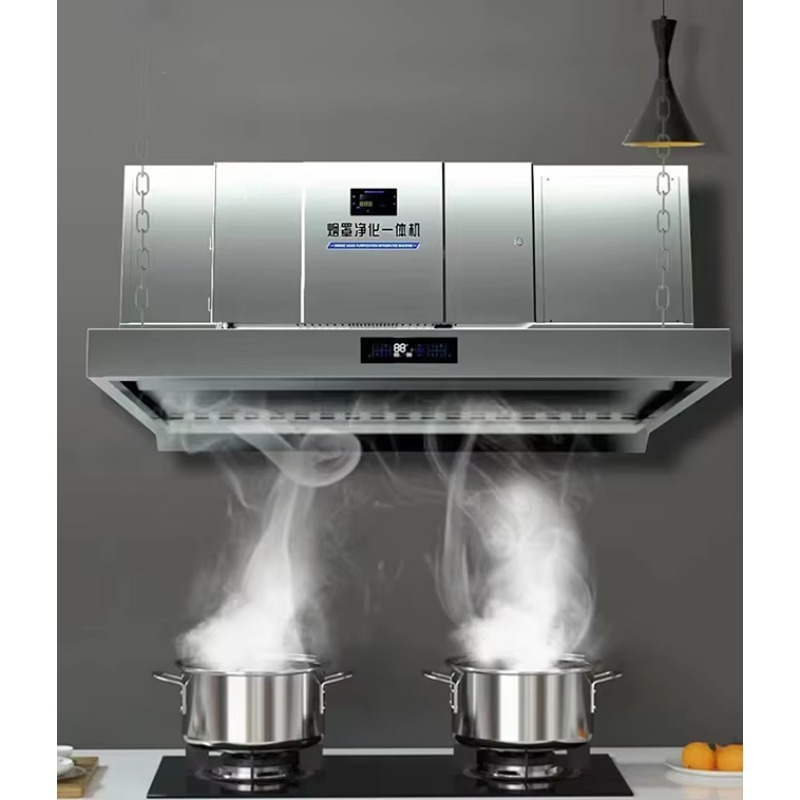 Commercial Kitchen Hoods - Purificatore d'aria elettrostatico integrato personalizzato ESP