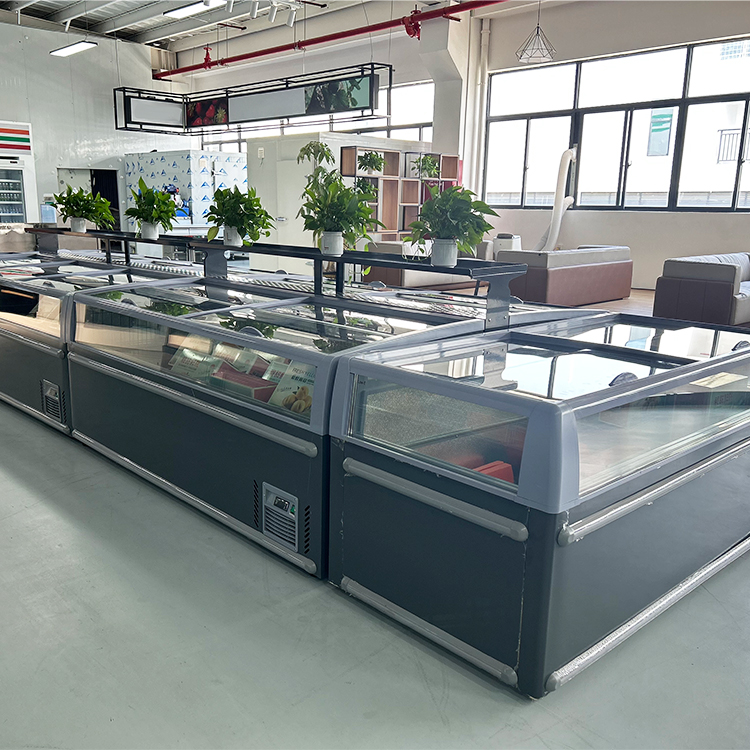 Commercial Chest Freezer - Congelatore a Pozzetto Commerciale con Porta