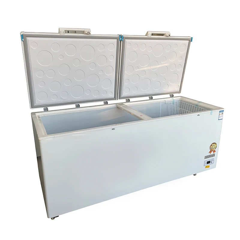 Commercial Chest Freezer - # Congelatore commerciale di grandi dimensioni