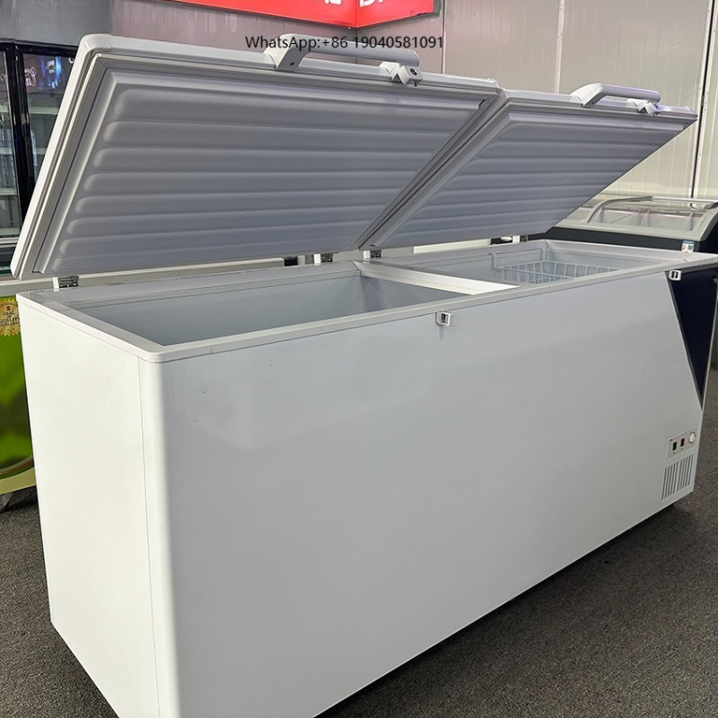 Commercial Chest Freezer - Congelatore orizzontale commerciale con apertura superiore,