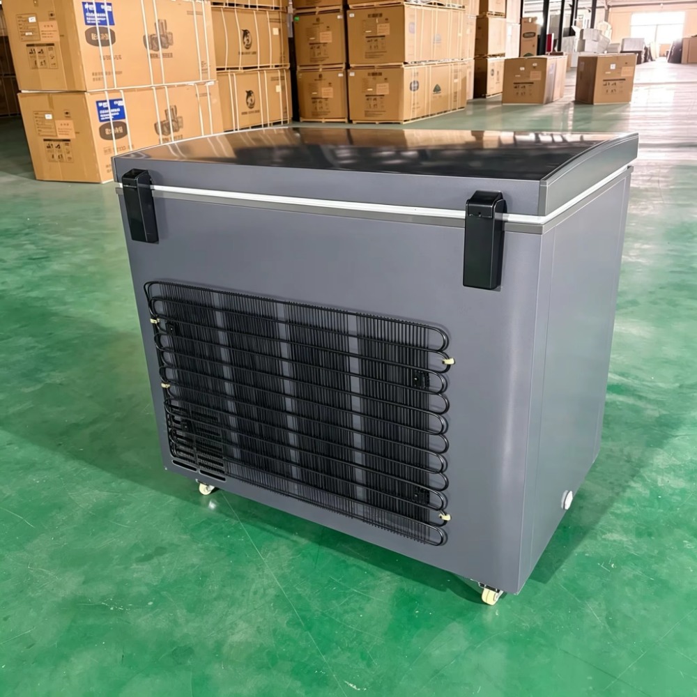 Congelatore Commerciale a Bass - Commercial Chest Freezer recensione e prezzo