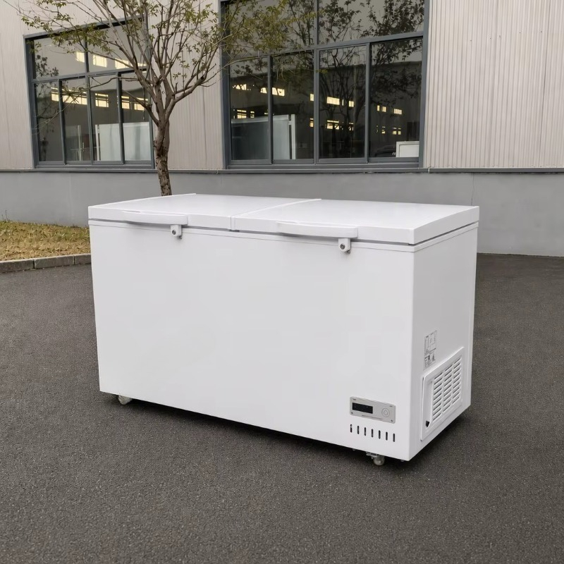Congelatore orizzontale commer - Commercial Chest Freezer recensione e prezzo