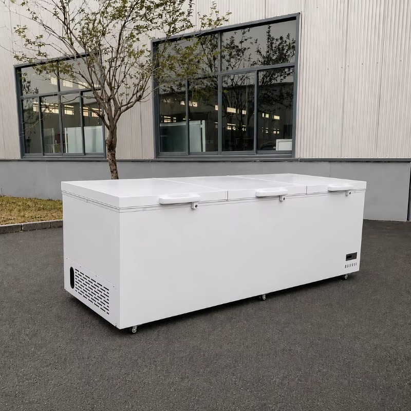 Congelatore orizzontale commer - Commercial Chest Freezer recensione e prezzo