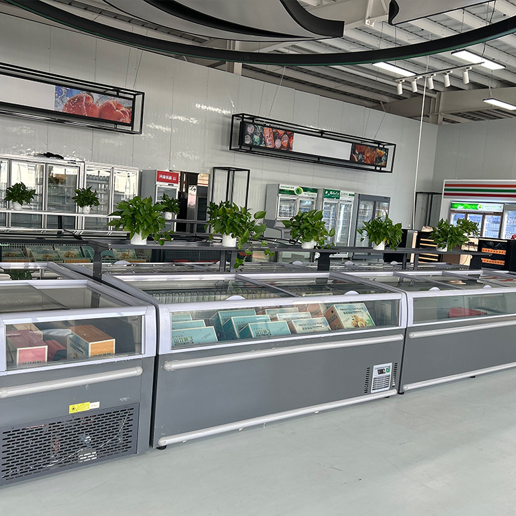 Congelatore a Pozzetto Commerc - Commercial Chest Freezer recensione e prezzo