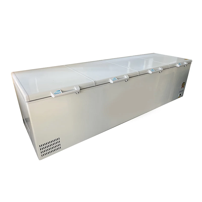 # Congelatore commerciale di g - Commercial Chest Freezer recensione e prezzo