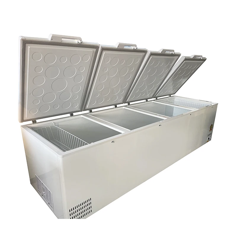 # Congelatore commerciale di g - Commercial Chest Freezer recensione e prezzo