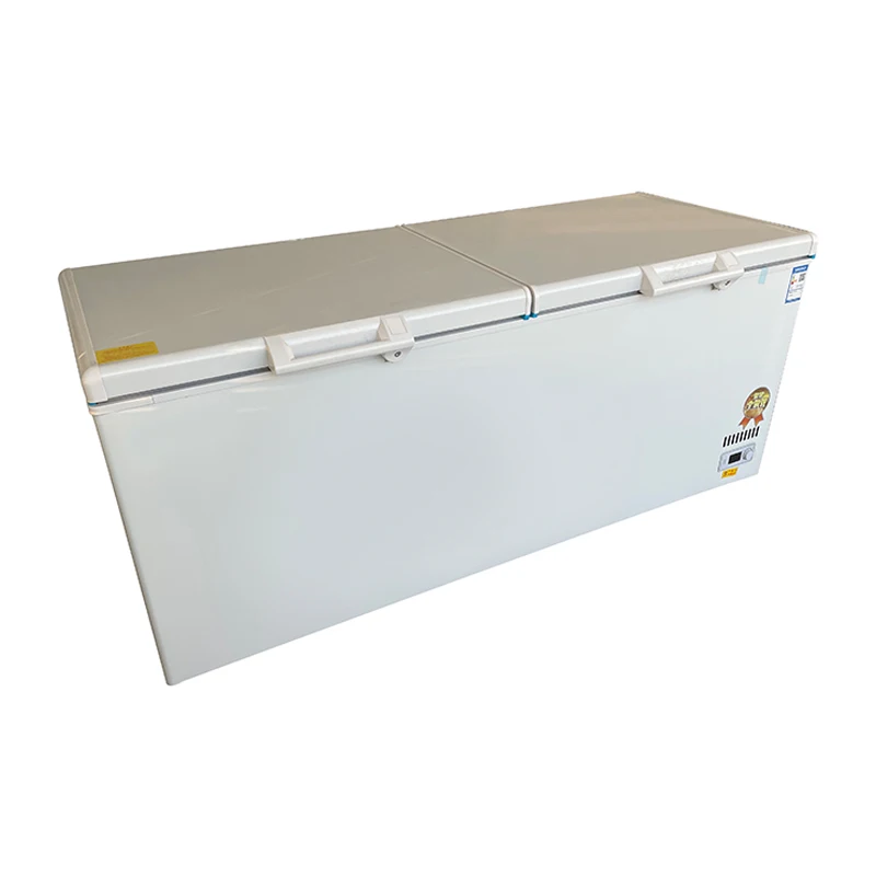 # Congelatore commerciale di g - Commercial Chest Freezer recensione e prezzo