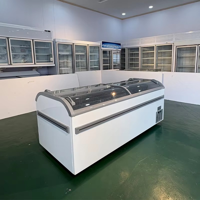 Congelatore a cassettiera con  - Commercial Chest Freezer recensione e prezzo