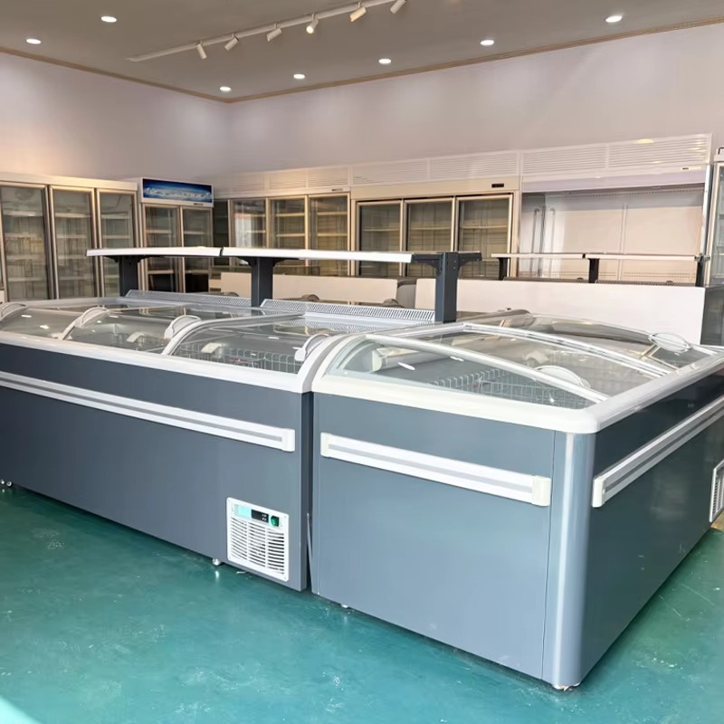 Congelatore a cassettiera con  - Commercial Chest Freezer recensione e prezzo