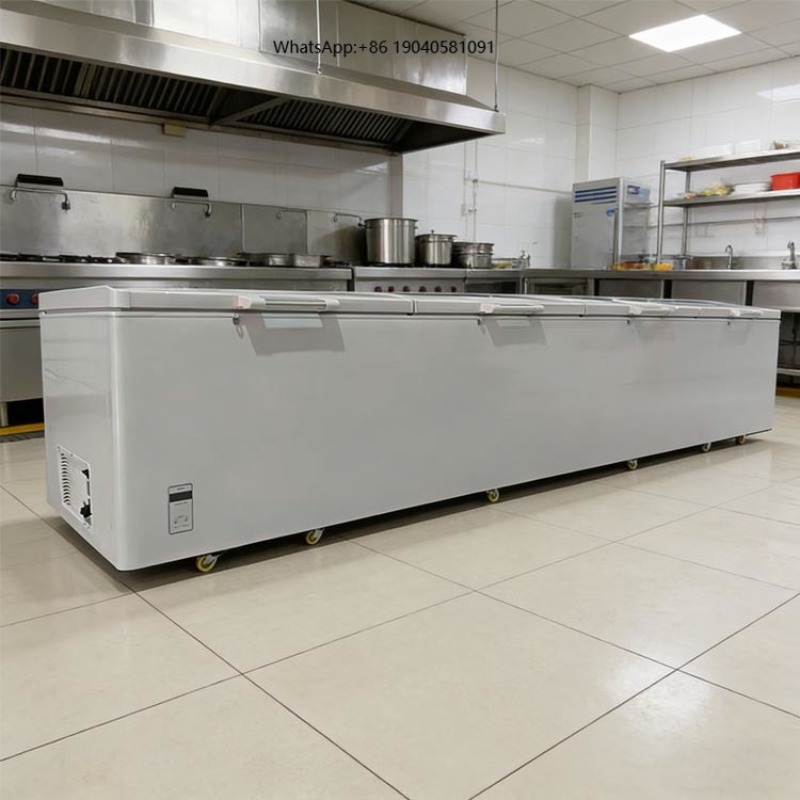 2688 Congelatore orizzontale c - Commercial Chest Freezer recensione e prezzo