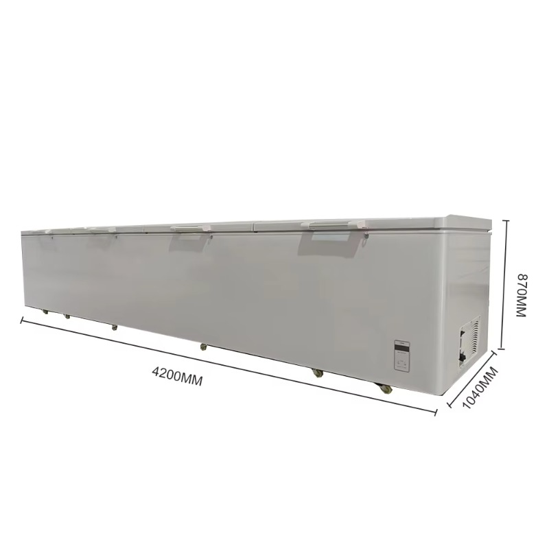 2688 Congelatore orizzontale c - Commercial Chest Freezer recensione e prezzo