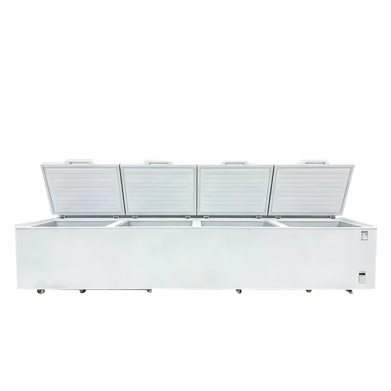 2688 Congelatore orizzontale c - Commercial Chest Freezer recensione e prezzo