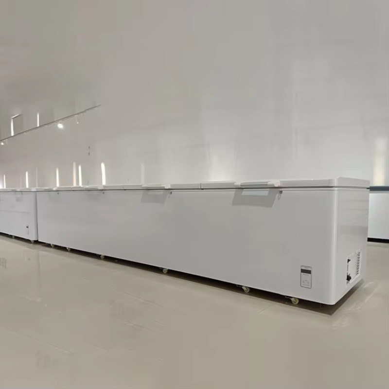 2688 Congelatore orizzontale c - Commercial Chest Freezer recensione e prezzo