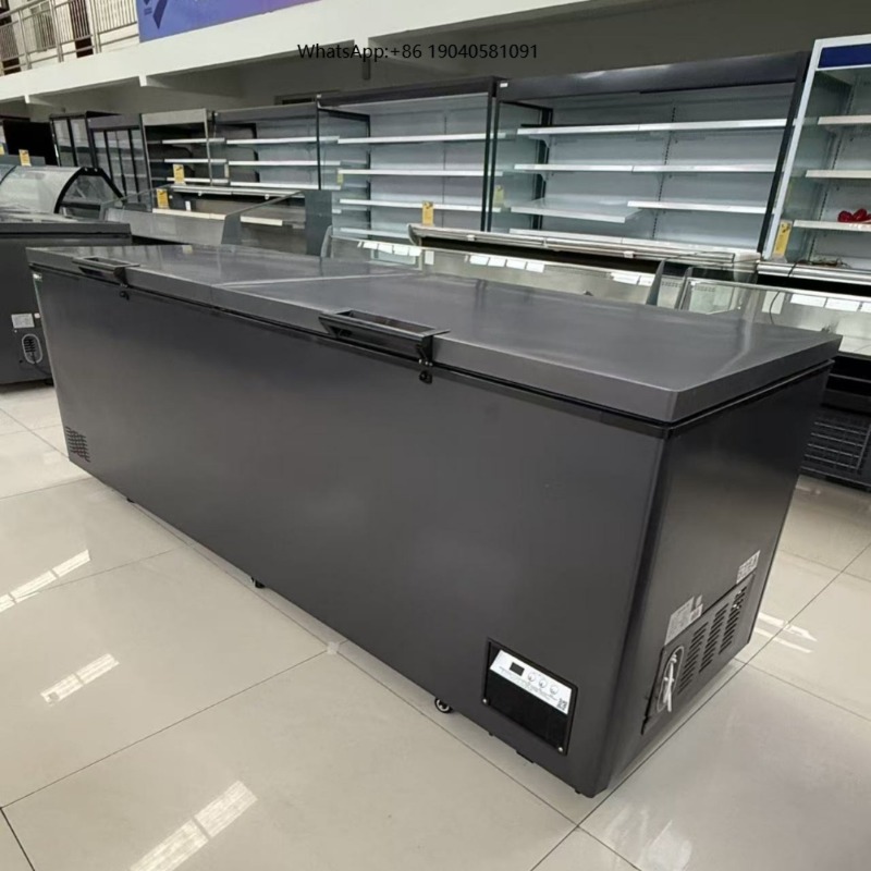 Congelatore orizzontale a dopp - Commercial Chest Freezer recensione e prezzo