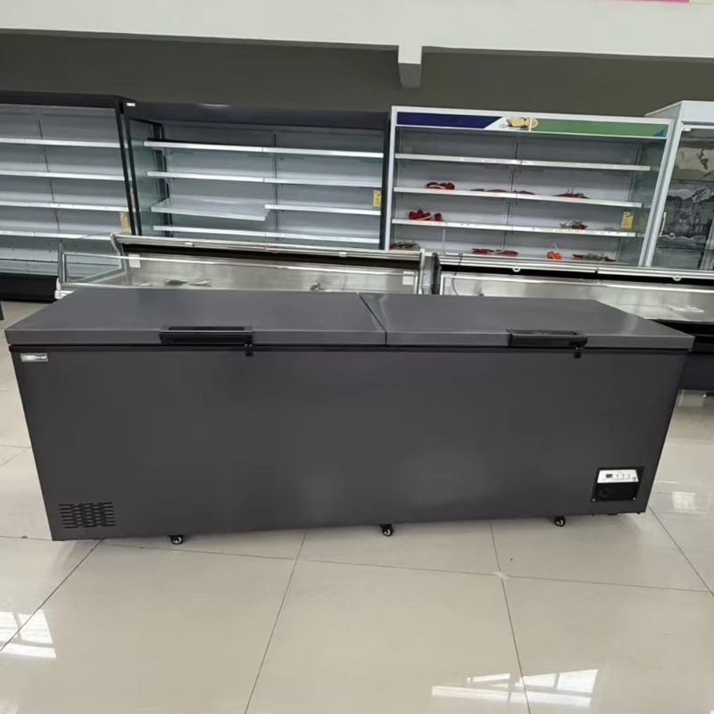 Congelatore orizzontale a dopp - Commercial Chest Freezer recensione e prezzo