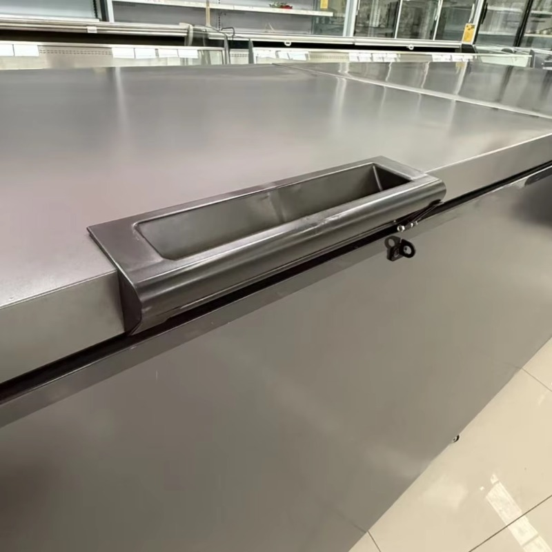 Congelatore orizzontale a dopp - Commercial Chest Freezer recensione e prezzo