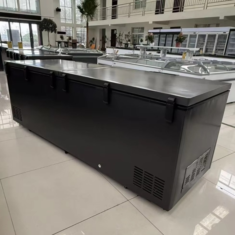 Congelatore orizzontale a dopp - Commercial Chest Freezer recensione e prezzo