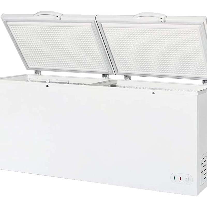 Congelatori a pozzetto di gran - Commercial Chest Freezer recensione e prezzo