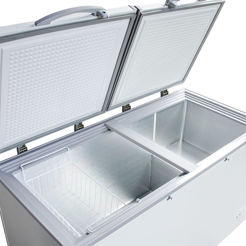 Congelatori a pozzetto di gran - Commercial Chest Freezer recensione e prezzo
