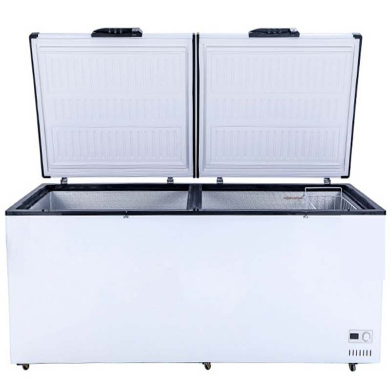 Congelatori a pozzetto di gran - Commercial Chest Freezer recensione e prezzo