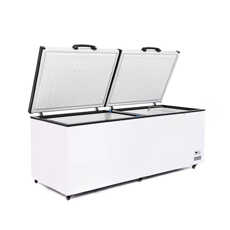 Nuovissimo congelatore a pozze - Commercial Chest Freezer recensione e prezzo