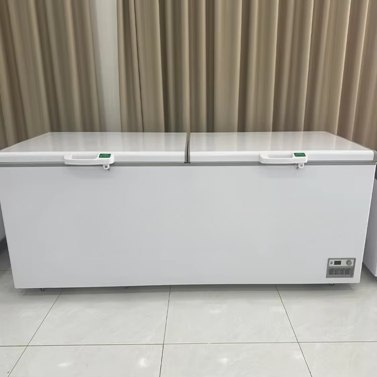 Nuovissimo congelatore a pozze - Commercial Chest Freezer recensione e prezzo