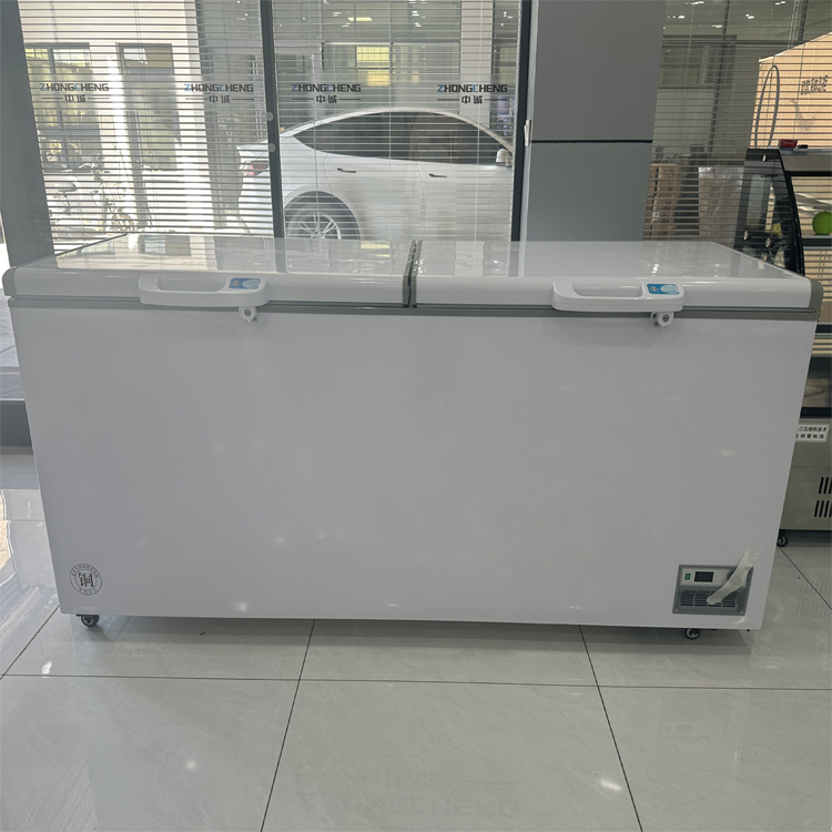 Nuovissimo congelatore a pozze - Commercial Chest Freezer recensione e prezzo
