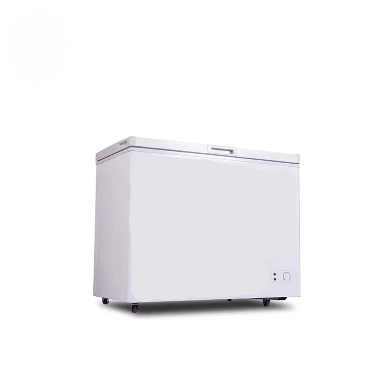 Frigorifero con congelatore or - Commercial Chest Freezer recensione e prezzo