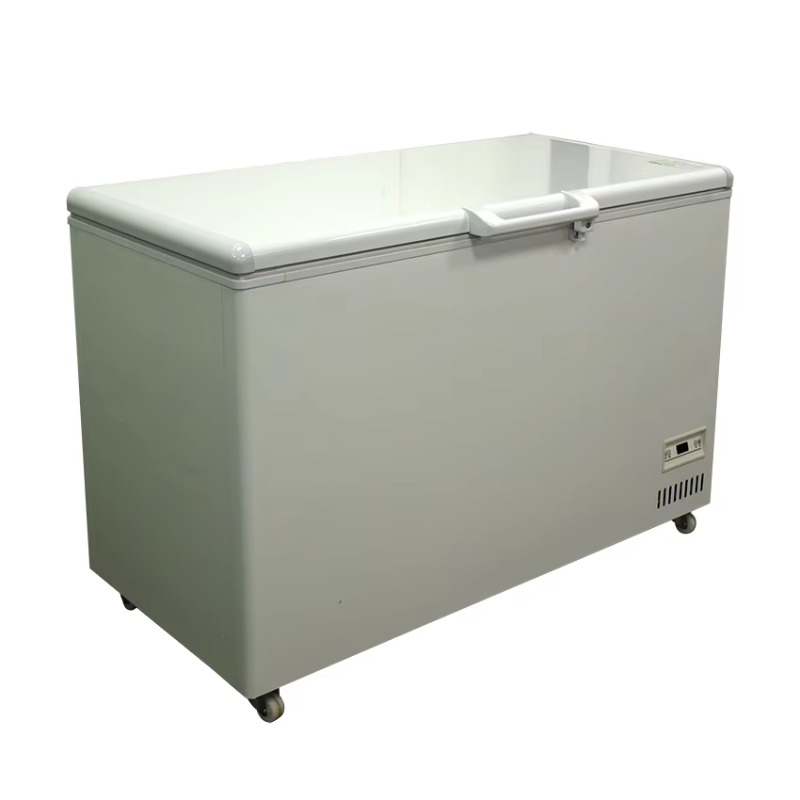 Congelatore orizzontale commer - Commercial Chest Freezer recensione e prezzo