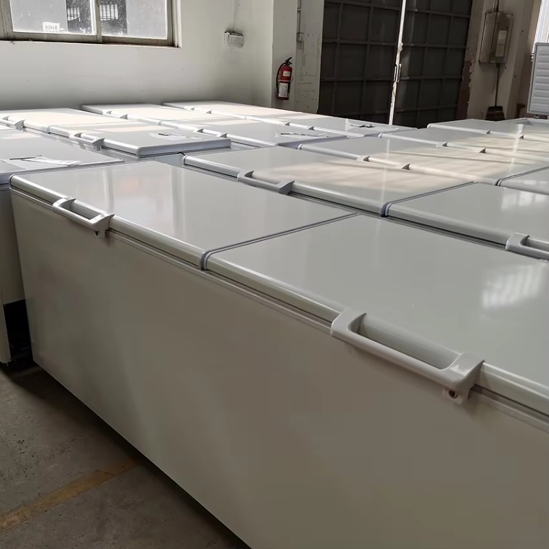 Congelatore orizzontale commer - Commercial Chest Freezer recensione e prezzo